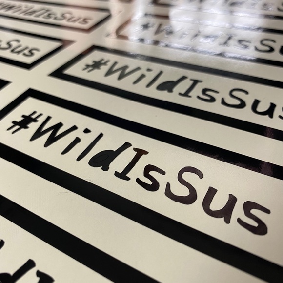 #WildIsSus - Picture 3 of 3